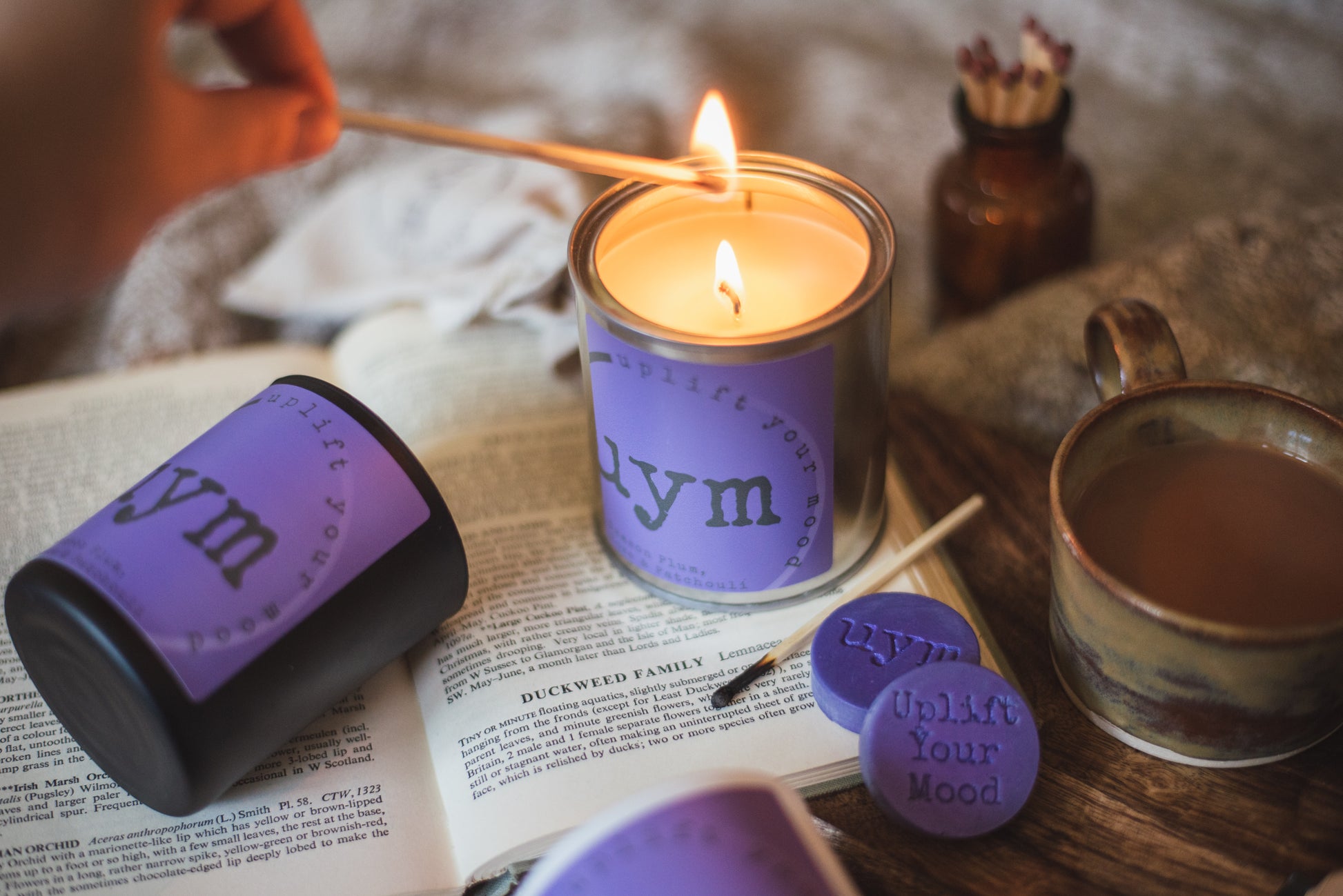 Damson Plum, Rose & Patchouli Candles, highly sceted natural wax, organic cotton wick, metallic tin lighted candle, cosy background. Uplift Your Mood Scents